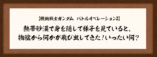 熱帯砂漠で身を隠して様子を見ていると、物陰から何かが飛び出してきた！いったい何？